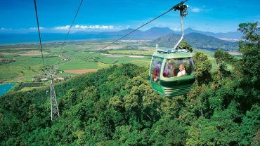Skyrail Rainforest Cableway - Cairns CBD to Port Douglas Shuttle Transfer Services