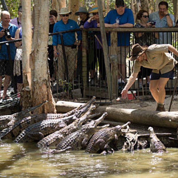 Cairns Airport to Port Douglas Shuttle Transfer Services