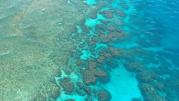 the great barrier reef location is Australia and things to do at the great barrier reef from Cairns and Port Douglas