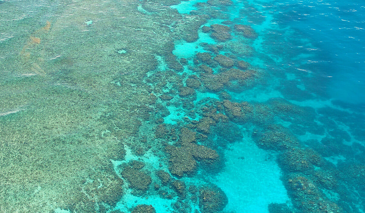 the great barrier reef location is Australia and things to do at the great barrier reef from Cairns and Port Douglas