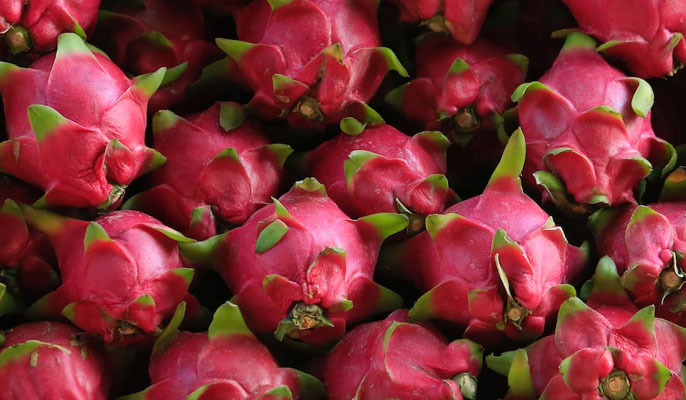 Enjoy Rusty's Markets dragon fruits with Cairns cbd to airport transfer service
