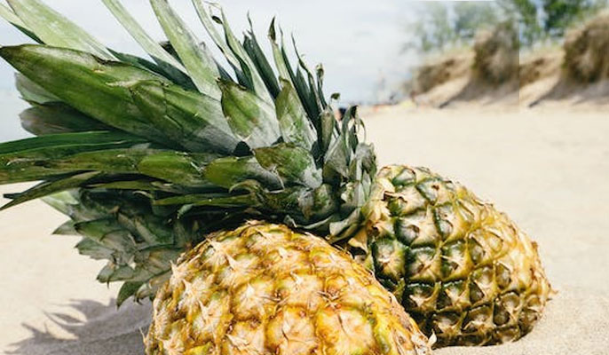 Pineapples - Get a Cairns Airport shuttle transfers service to enjoy tropical fruits in Australia